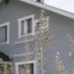 Matikkala Chalet Ruokolahti