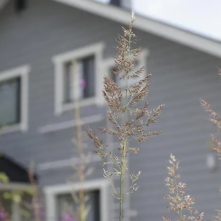 Matikkala Alpehytte Ruokolahti