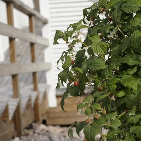 Alpehytte Matikkala Ruokolahti