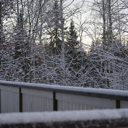 Chalet Matikkala