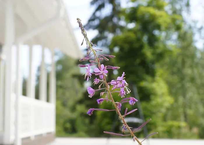 シャレー Matikkala