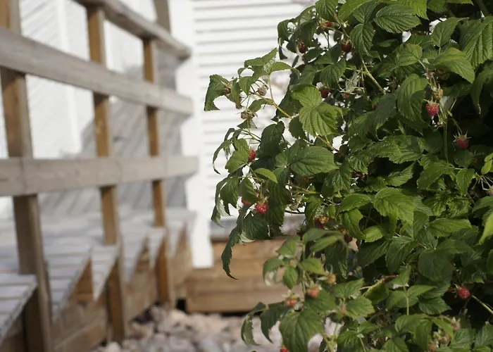 Σαλέ Matikkala Ruokolahti