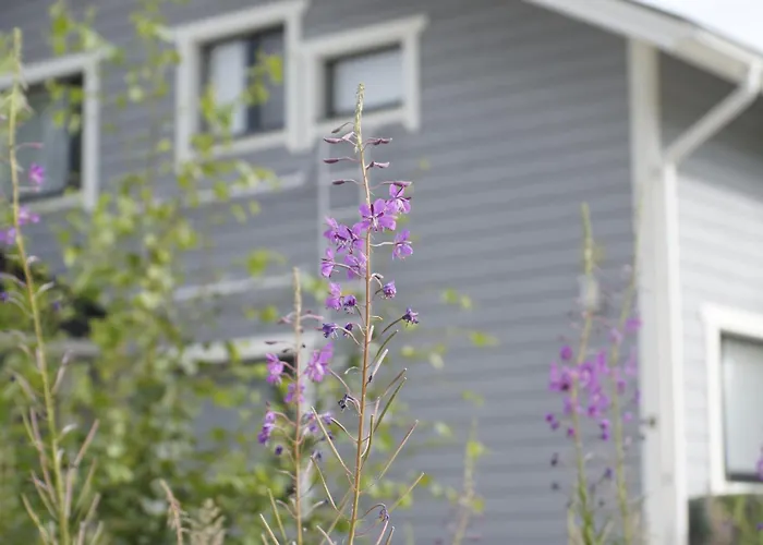 Matikkala Σαλέ *